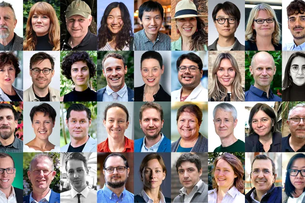 Kollage bilder många forskare. Foto.